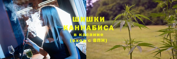 молекула духа Заводоуковск