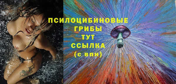 молекула духа Заводоуковск