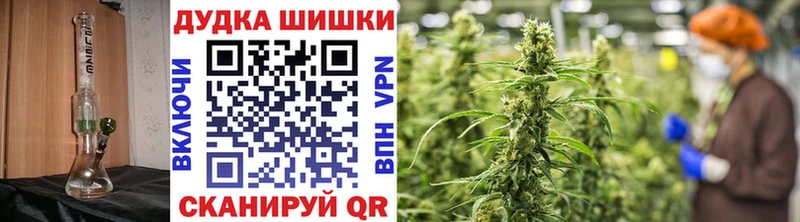 Купить закладки  Бирюсинск  Бошки Шишки SATIVA & INDICA 